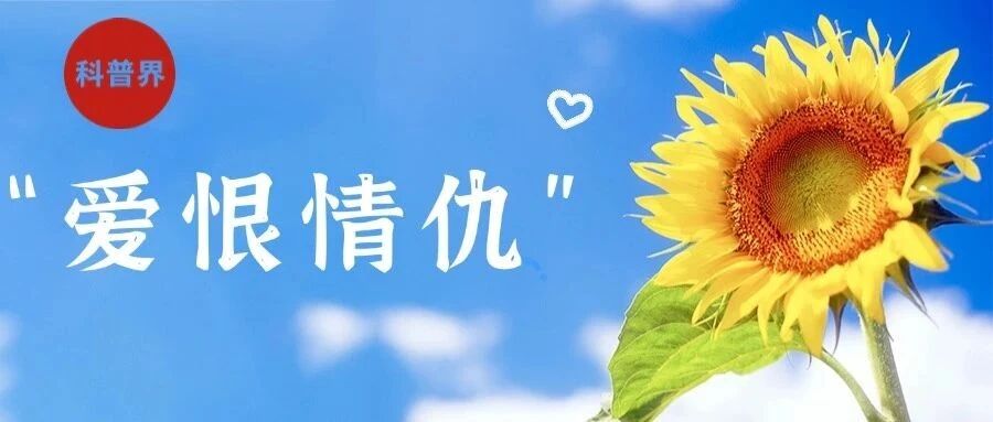 科普中的“爱恨情仇”
