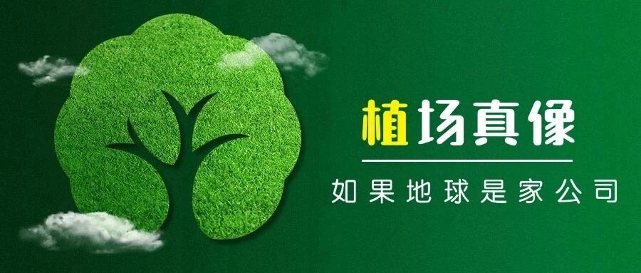 “植”场真像：当树木开始打工