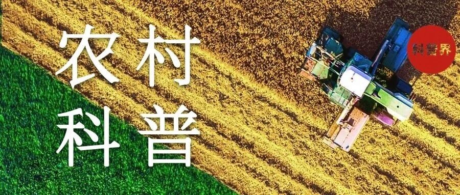 中国农村科普分析